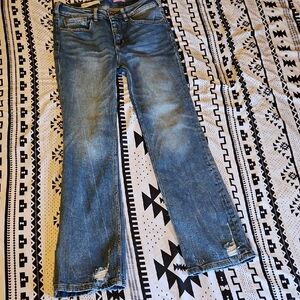 Anthropologie Straight Leg Jeans